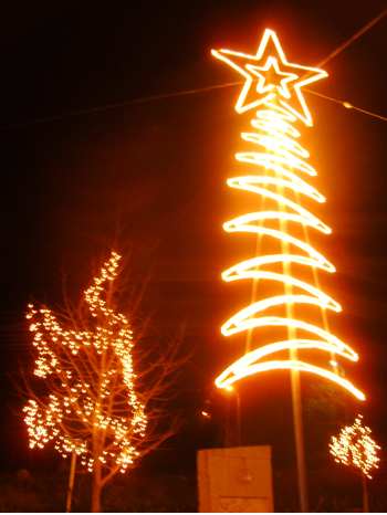 Gonça Natal 2008