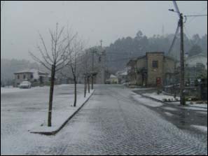 Neve em Gonca 2009