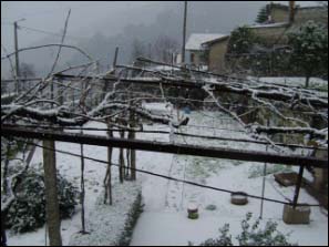 Neve em Gonca 2009