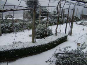 Neve em Gonca 2009