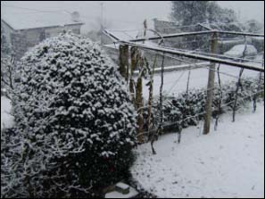 Neve em Gonca 2009